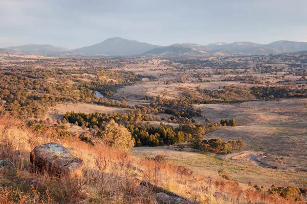 Golden hills and bushland in the Australian Capital Territory countryside