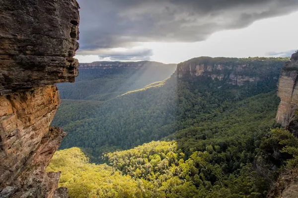 Sunlight over a forested valley in the Blue Mountains, New South Wales