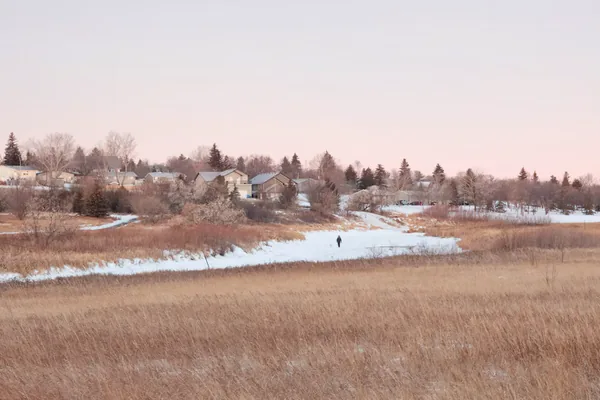 Snow and prairie grass at dusk on the edge of town
