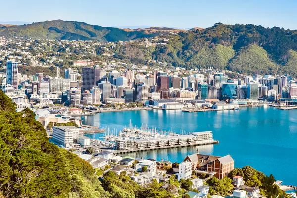 Wellington harbour and city from the hills, New Zealand